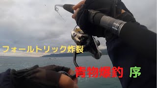 青森県西海岸K フォールトリックで青物爆釣 序 [upl. by Enilraep374]