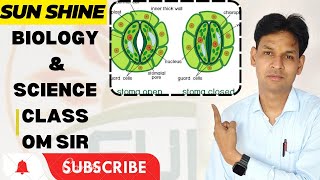 STOMATA Science Class 10 scienceworld sciencelab cbseboard sunshine class9science [upl. by Padget]