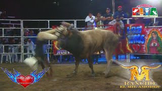 APARATOSO Y DESGARRADO¡¡ La Campeona Rancho Mil Amores En La Valerio TrujanoGro [upl. by Brittaney]