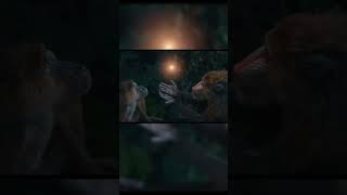 SEGREDOS DISNEY  Filme Mufasa Trailer  Marcella Nery disney filme mufasa reileao trailer [upl. by Lechar127]