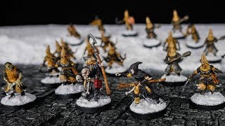 Painting a Warband  21 Miniatures for Frostgrave in 2 Days [upl. by Siva]