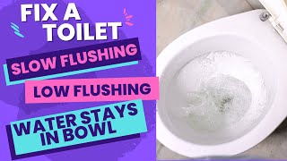 Toilet Wont Flush  Slow Flushing Toilet  Water Stays in Bowl [upl. by Fiora]