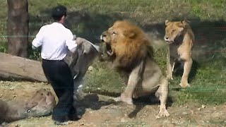 Watch Alcoholic Thinks He Can FIGHT Lions  Tales From the Bottle [upl. by Brucie]