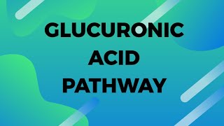 GLUCURONIC ACID pathway made easy [upl. by Almund]