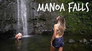 Manoa Falls Hike  Oahu  Hawaii [upl. by Briney919]