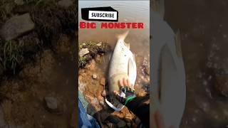 The River Monster Fish Ended fishing catchingfish hunting fish fishingtips alifishhunter [upl. by Adnylg]