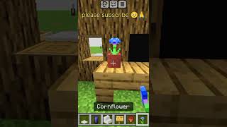 Minecraft laptop hackviralshortminecraftminecraft viralshorts [upl. by Estrellita]