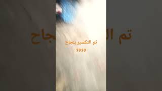 حاسس نفسي غبي subscribe share like [upl. by Catlin]