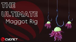 How To Tie A Maggot Rig For Carp  Wafter Maggot Rigs  Winter Carp Fishing [upl. by Acyre]