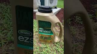 Scotts EZ Seed Centipede 3in1 Mulch  Fertilizer  Seed  Day 1 [upl. by Vincentia]