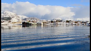 Skreifishing Lofoten  Norway [upl. by Adnak291]