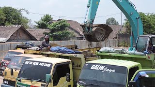 Kobelco Excavator SK200 Digging Loading Dirt Into Dump Trucks [upl. by Moritz]