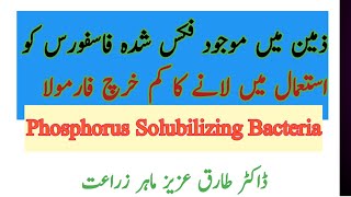 Use of Phosphorus Solubilizing Bacteria in Soil  PSB soilfertility phosphorus soilmicrobe [upl. by Hildick930]