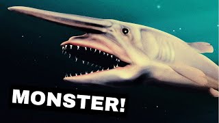 The Creepiest Shark In The Deep Sea The Goblin Shark [upl. by Zedecrem]