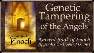 Book of Enoch  Genetic Tampering [upl. by Bilbe]