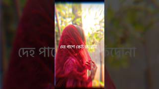 Deh Pashe Keu Kedo Na💔🥀bangla sad status🙂🍂sad viral sadstatus [upl. by Sterrett648]