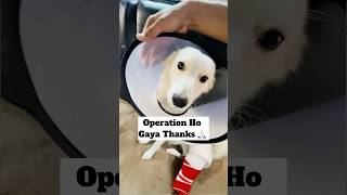 Operation Ho Gaya 🥹  minivlog [upl. by Sarat]