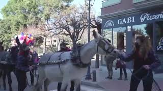 TONIS TARADELL 2022 Passant dels Tres Tombs i Benedicció dels animals [upl. by Roarke]