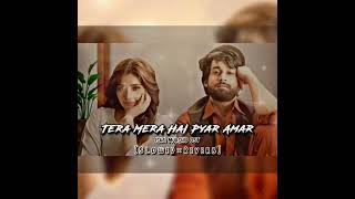 Tera Mera Hai Pyar Amar Slowed Reverb [upl. by Ynaffat]