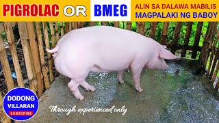 PIGROLAC o BMEG l ALIN SA DALAWA MABILIS MAGPALAKI NG BABOY l Vlog 149 [upl. by Maiga103]