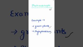 Photoautotrophs  biology neet neetug [upl. by Mccurdy]