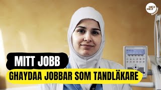 Jobba som tandläkare  quotJag gillar att jobba med människorquot  Från SFI till arbete [upl. by Anovad]