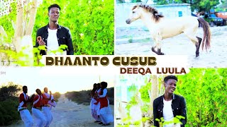 MAXAMED DHAANTO  DHAANTO CUSUB  DEEQA LUULA Official Video Kooxda Qaran Band [upl. by Natsirt407]