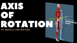 Understanding Axes of MovementRotation [upl. by Gnouhc]