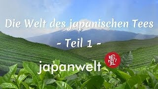 Doku Grüner Tee Anbau und Verarbeitung  Die Welt des japanischen Tees bei Japanwelt [upl. by Ennyleuqcaj]