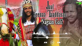 Jaal Seenaa TaaddasaaNAGAAN GALINew Oromo Music Video 2024 [upl. by Hasty900]