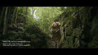 BlackMagic Pocket Cinema Camera 4K  BMPCC 4K RAW to ALEXA Cinematic Look Convert by ARRI Base LUT [upl. by Margarita]