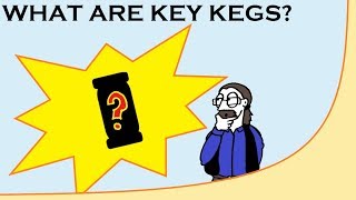 What are Key Kegs  What they are and How they differ from Steel Kegs [upl. by Zippel225]