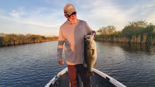 Lake Okeechobee  Feb 25 2024 [upl. by Atsugua]