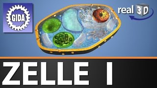 Trailer  Zelle I  Biologie  3D Software [upl. by Tobi]