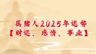 生肖属猪人2025年财运、感情运势、事业运势整体分析 生肖猪 运势 财运 2025年 生肖運勢 [upl. by Adnohsirk]