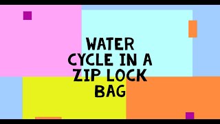 Water cycle in a zip lock bag [upl. by Boj]