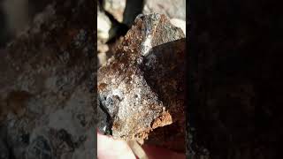 Easy way to find Hyalite opal [upl. by Kristie238]