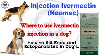 Ivermectin injection Neomec use in dogs in English  Dogs treatment medicine  Veterinary medicine [upl. by Aissat]