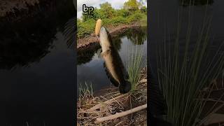 Handmade Torpedo Lure fishing diy handmade [upl. by Yeznil]