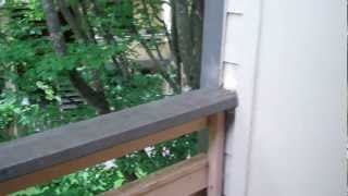 Woodlake Apartments  Kirkland WA  2 Bedroom  Oak [upl. by Meldon955]