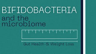 Bifidobacteria  Role in Gut Health  Weight Loss [upl. by Macomber]