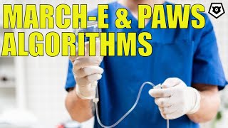 MARCHE amp PAWS Algorithms Trauma Medicine Series Episode 8 [upl. by Eetsim]