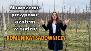 Nawożenie posypowe azotem w sadzie  komunikat sadowniczy [upl. by Naniac211]