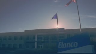 Elanco Careers What brought me to Elanco was the culture [upl. by Halima]