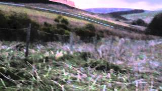 Roe Buck Stalking  Fasque Estate  Scotland [upl. by Shanley]