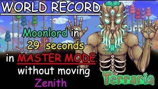 Terraria ⚔️ World Record ⚔️ Moonlord in 29 seconds in Master Mode without moving  first fastest [upl. by Felic]