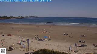 Steve Seabury Higgins Beach Properties Live Webcam [upl. by Elyrehc]