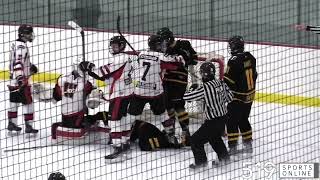 PJHL  Tavistock Braves vs Wellesley AppleJacks [upl. by Aileahcim]