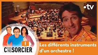 Les différents instruments dun orchestre   Cest pas sorcier Intégrale [upl. by Nennahs716]