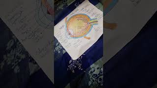 Aakh ka sanrachna banane ka tarika how to make eye structure shortvideo viral [upl. by Darcey145]